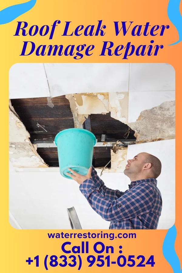 Roof Leak Water Damage Repair in Bishop Hills, TX